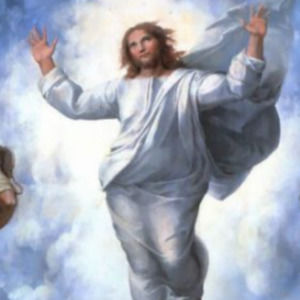 Meet your Posher, Posh